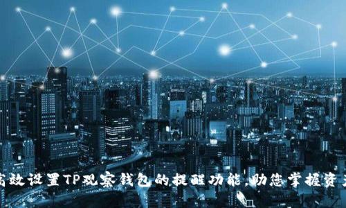 如何高效设置TP观察钱包的提醒功能，助您掌握资产动态